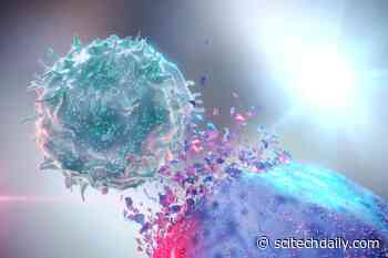 Natural Supplement May Boost Cancer-Fighting Immunity