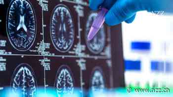 Die Präzisionsmedizin will unser Verständnis von Krankheit und Gesundheit umkrempeln. Was ist dran am Hype?