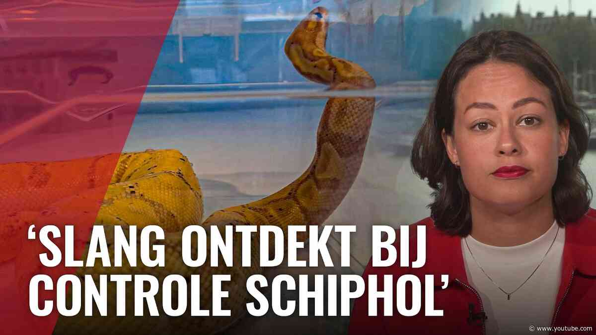 Canadese vrouw betrapt met koningspython verstopt in beha