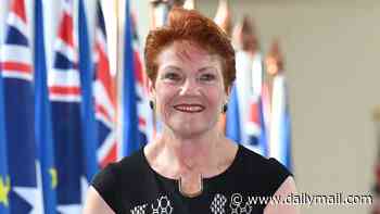 Pauline Hanson unleashes about the end of 'White Australia' policy - as she claims Muslim migrants are entering Australia to rort the NDIS