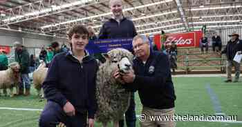All the major ribbon winners from the 2026 Australian Sheep & Wool Show