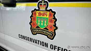 Conservation officers, RCMP investigating two wildlife-related deaths near La Ronge, Sask.