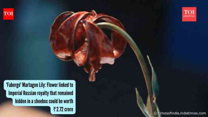 'Fabergé' Martagon Lily: Flower linked to Imperial Russian royalty, which remained hidden in a shoebox, could be worth ₹2.72 crore