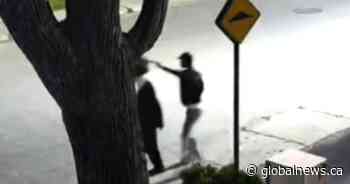 Two Montreal men arrested in antisemitic attack caught on video