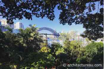 Urban trees cool the world’s cities more than we thought – but we can’t rely on them alone