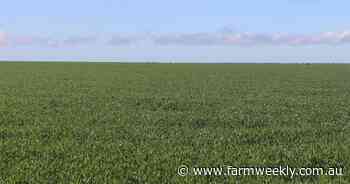Current crop production potential on track to rival 2025 harvest record