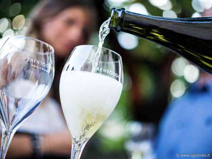 Trento doc Festival, una montagna di vino