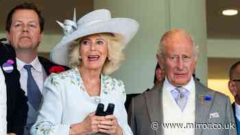 Queen Camilla 'opposed protocol with harsh three-word comment to King Charles'