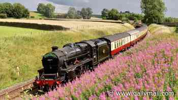 Steam trains are BANNED nationwide in heatwave after Harry Potter train started wildfire