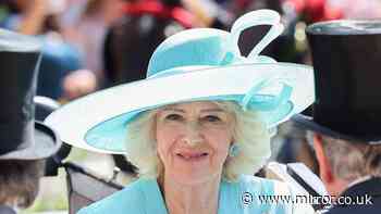 Royal fans are just realising Queen Camilla is related to unlikely pop star
