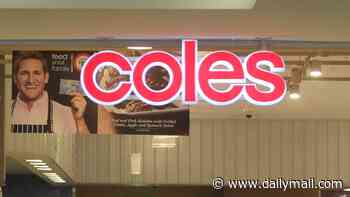 Coles abandons $4billion bid for Petbarn owner as investors breathe sigh of relief