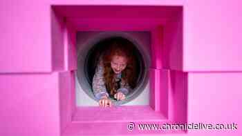 Giant play sculpture comes to Northumberland for interactive fun this August