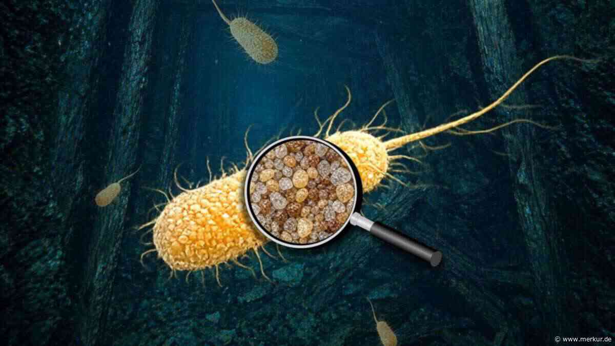 Bakterien entfernen 96 Prozent Uran aus Grubenwasser – Forscher stoßen auf reinigenden Mechanismus
