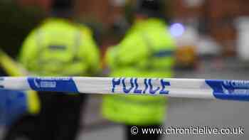 Newcastle man jailed for nearly 14 years after armed raid on family home