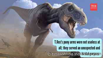 T.Rex's puny arms were not useless at all; they served an unexpected and brutal purpose