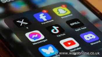 Watchdog launches urgent probe into TikTok over child safety concerns