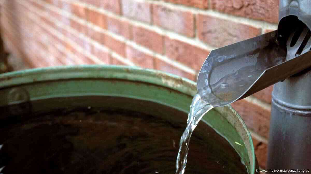Regentonne richtig nutzen: Wenn Sie diese 5 Fehler machen, geht unnötig viel Wasser verloren