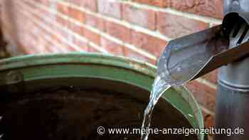 Regentonne richtig nutzen: Wenn Sie diese 5 Fehler machen, geht unnötig viel Wasser verloren