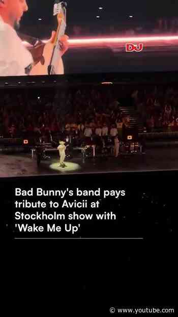 Emotional Moments As Bad Bunny's Band Pay Tribute To Avicii 🫶 #tribute