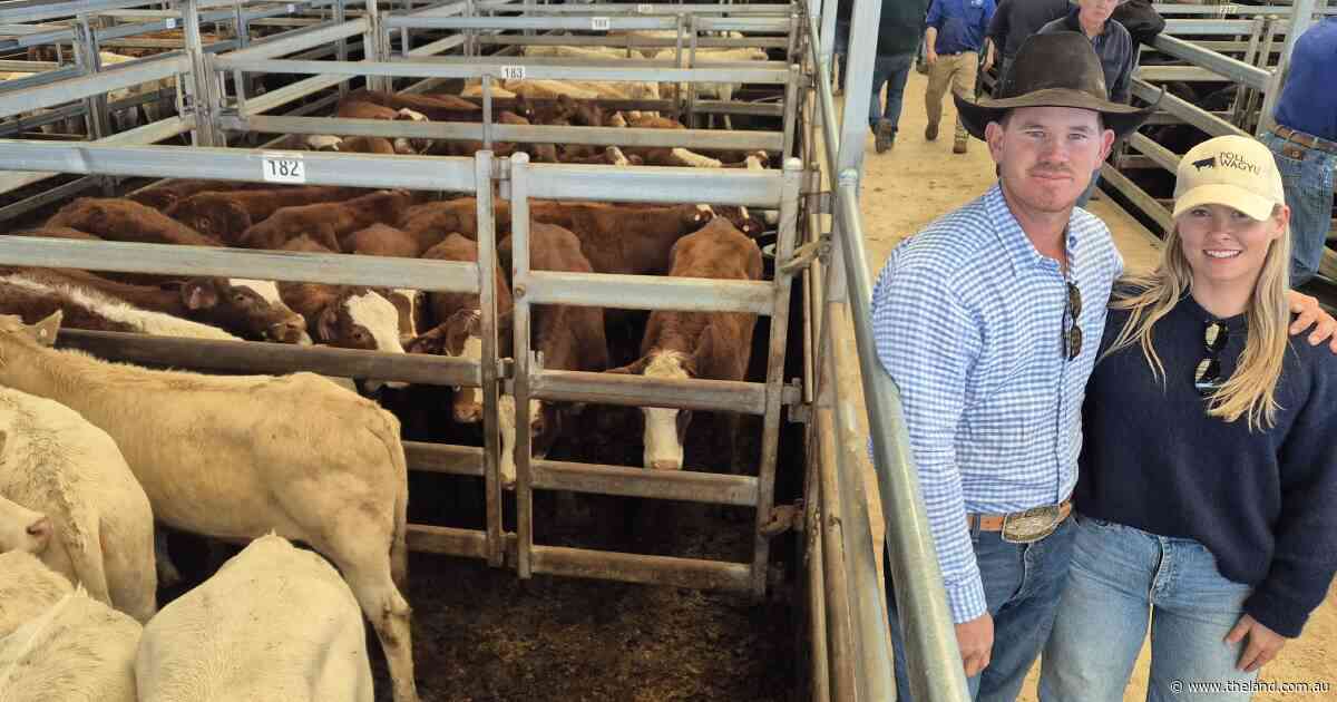 Why a 24-hour trip paid off for these Longreach vendors at Tamworth
