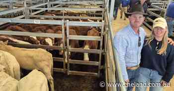 Why a 24-hour trip paid off for these Longreach vendors at Tamworth