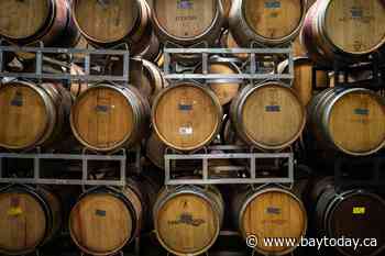 Ontario's wine industry adjusts as smoke discourages tourists