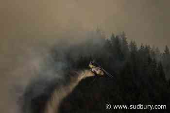 Crews work through night on B.C. wildfire as evacuation orders hold