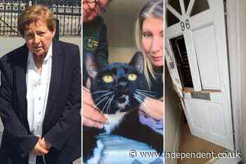 Former human rights lawyer, 79, sues after police ‘chop down door’ to seize her cat