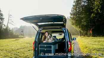 Das Bett im Kofferraum  – Micro-Camper als Wohnmobil-Alternative 