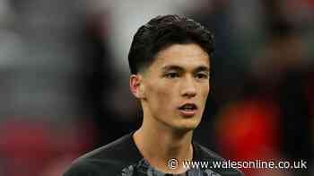 Swansea City make move for World Cup star in fight with Celtic
