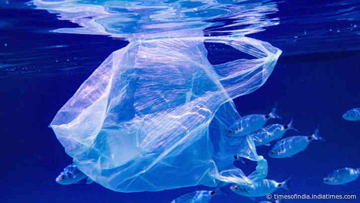 Scientists find microplastics in one of Earth's most isolated ecosystems: Indian Ocean hit hardest with up to 14.7 times more particles than Pacific specimens