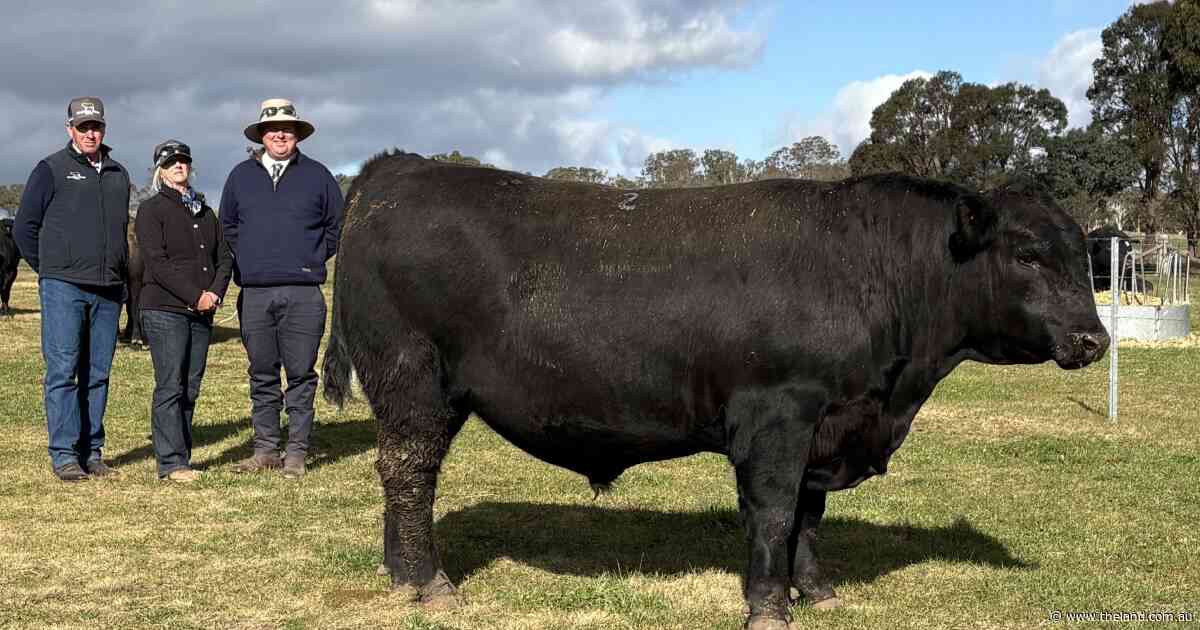Repeat buyers dominate bidding as Inglebrae Farms records full clearance