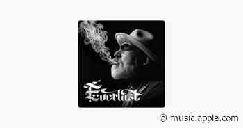 Peace of Mind - Everlast
