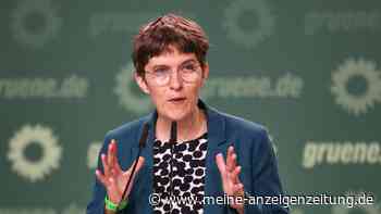 AfD spricht von „Wahrheitsministerium“ – Grüne wollen schärfere Maßnahmen gegen Desinformation
