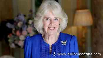 Queen Camilla looks radiant in official birthday portrait as she turns 79 - see photo