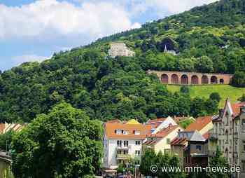 Heidelberg – Hitze und anhaltende Trockenheit belasten Stadtgrün