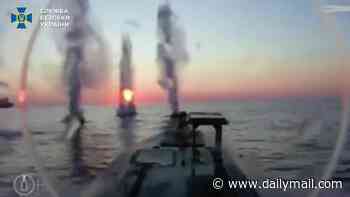 Ukraine decimates Putin's shadow-fleet: Sea of Azov becomes Russian shipping graveyard as Kyiv hits 116 vessels in week-long drone onslaught