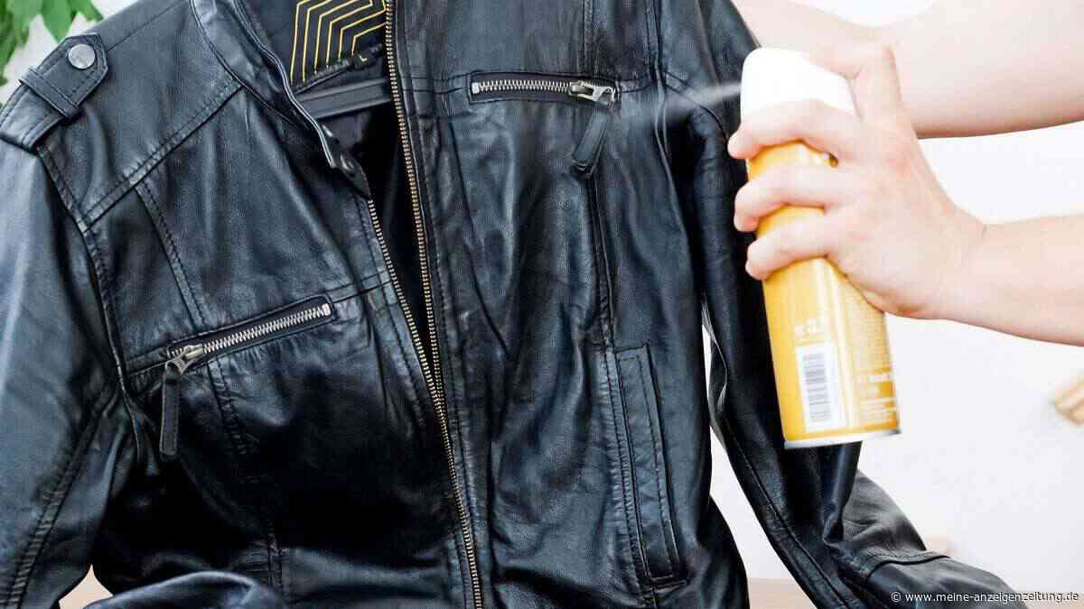 Lederpflegemittel für Biker im Test - welche liegen vorn?