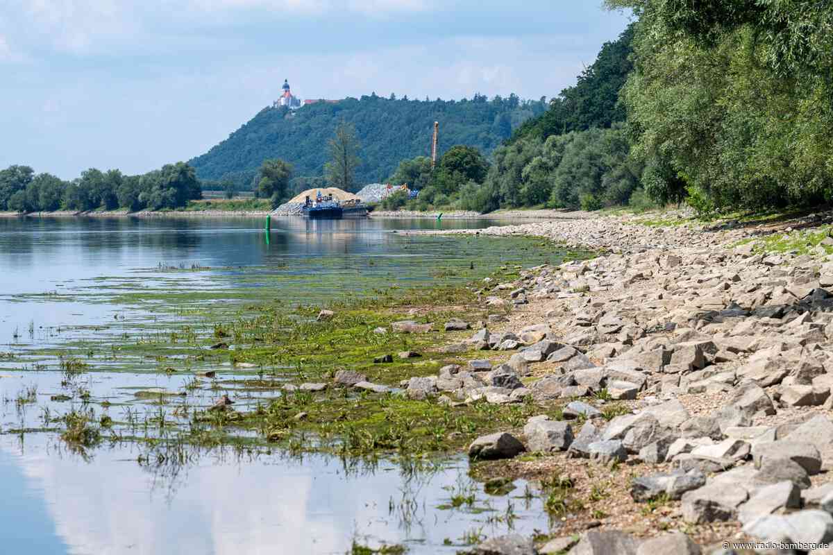 Niedrigwasser bremst Güterschifffahrt aus