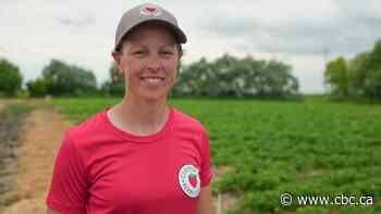 Asparagus, strawberry farmers battle extreme weather, lack of crop insurance in Manitoba