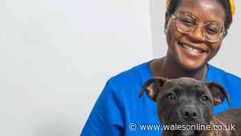 'Our puppy could have died after eating forgotten Christmas treat'