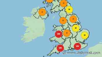 As if the heatwave wasn't bad enough! Brits are told to brace for a POLLEN bomb over the next four days