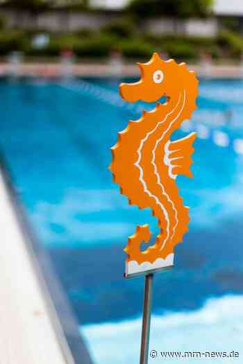 Heidelberg – Schwimmabzeichen im Tiergartenbad erwerben