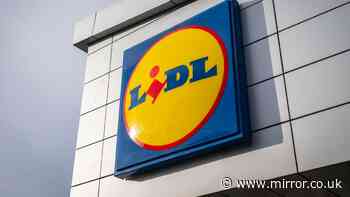 New Lidl £70 summer kitchen appliance similar to £200 Ninja version