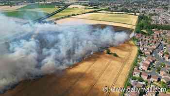 Moment hero farmers stop field blaze spreading to housing estate after braving flames in their tractors to plough emergency firebreak