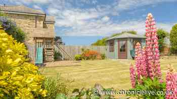 Northumberland retreat with 'feel-good factor' and quiet beach 4 miles away