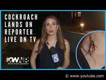 Cockroach Lands on KTLA Reporter Rachel Menitoff LIVE on TV! | On Air with Ryan Seacrest