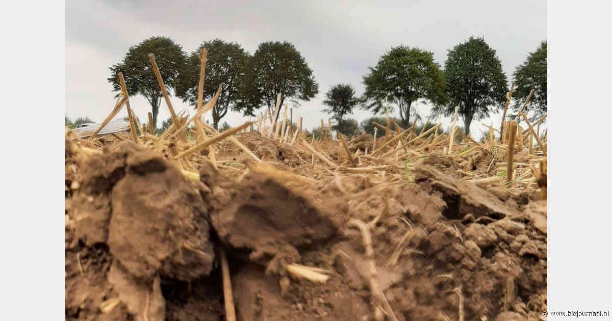 Vierde monitoringsrapport brengt ontwikkeling natuurinclusieve akkerbouw in Buijtenland van Rhoon in beeld