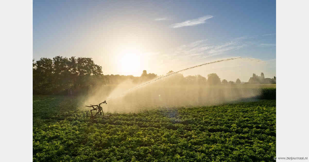 Droogte leidt tot tijdelijke onttrekkingsverboden op Vlaamse waterlopen