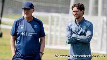 England great believes Everton have just pulled off a transfer 'bargain'